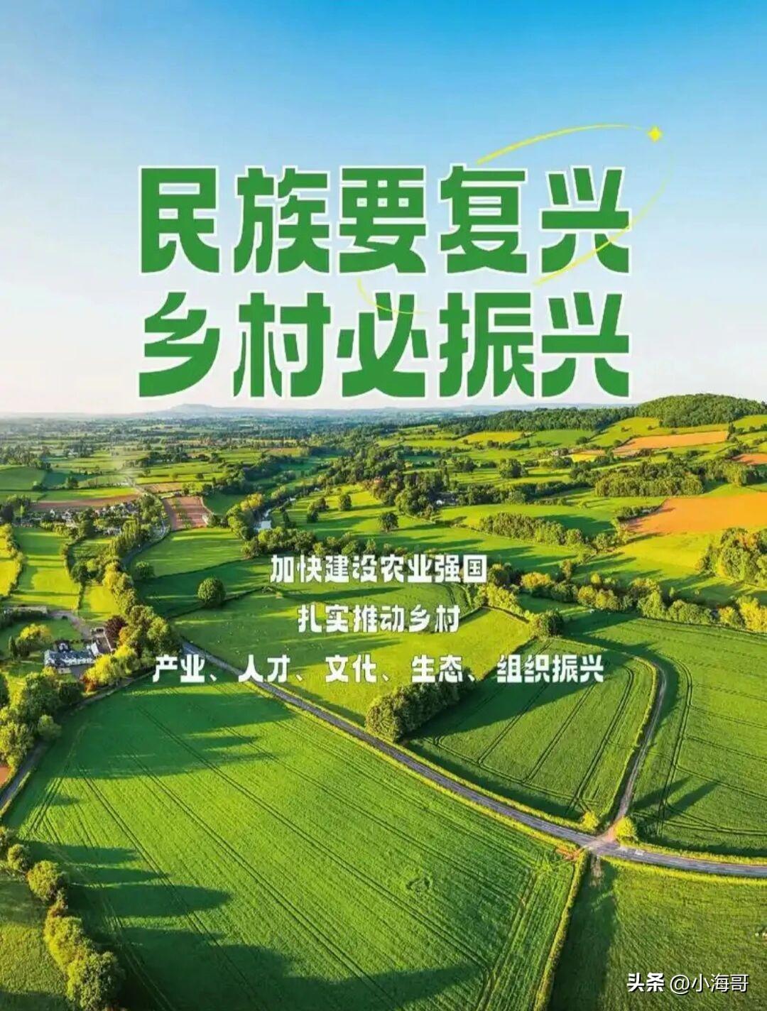 乡村振兴不是简单修几条马路、盖几栋新房，而是要实实在在让农村留得住人、发展得起产