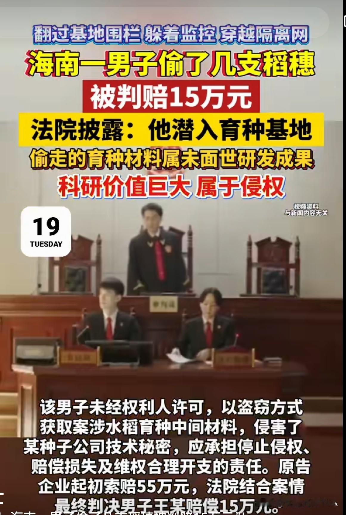 偷几支稻穗赔15万☞☞☞

这可不是普通稻子，是"科研宝贝"
 
这事儿听完直呼