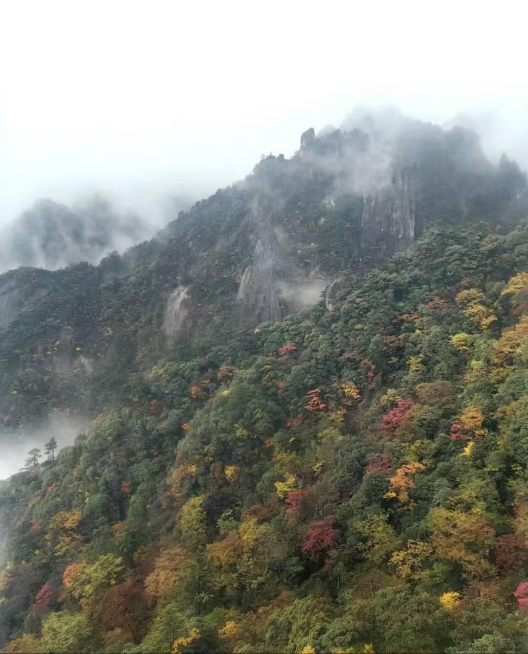 夫妻外出吃饭AA制合不合适，得分情况看。要是婚前就商量好婚后生活费用AA，且签了