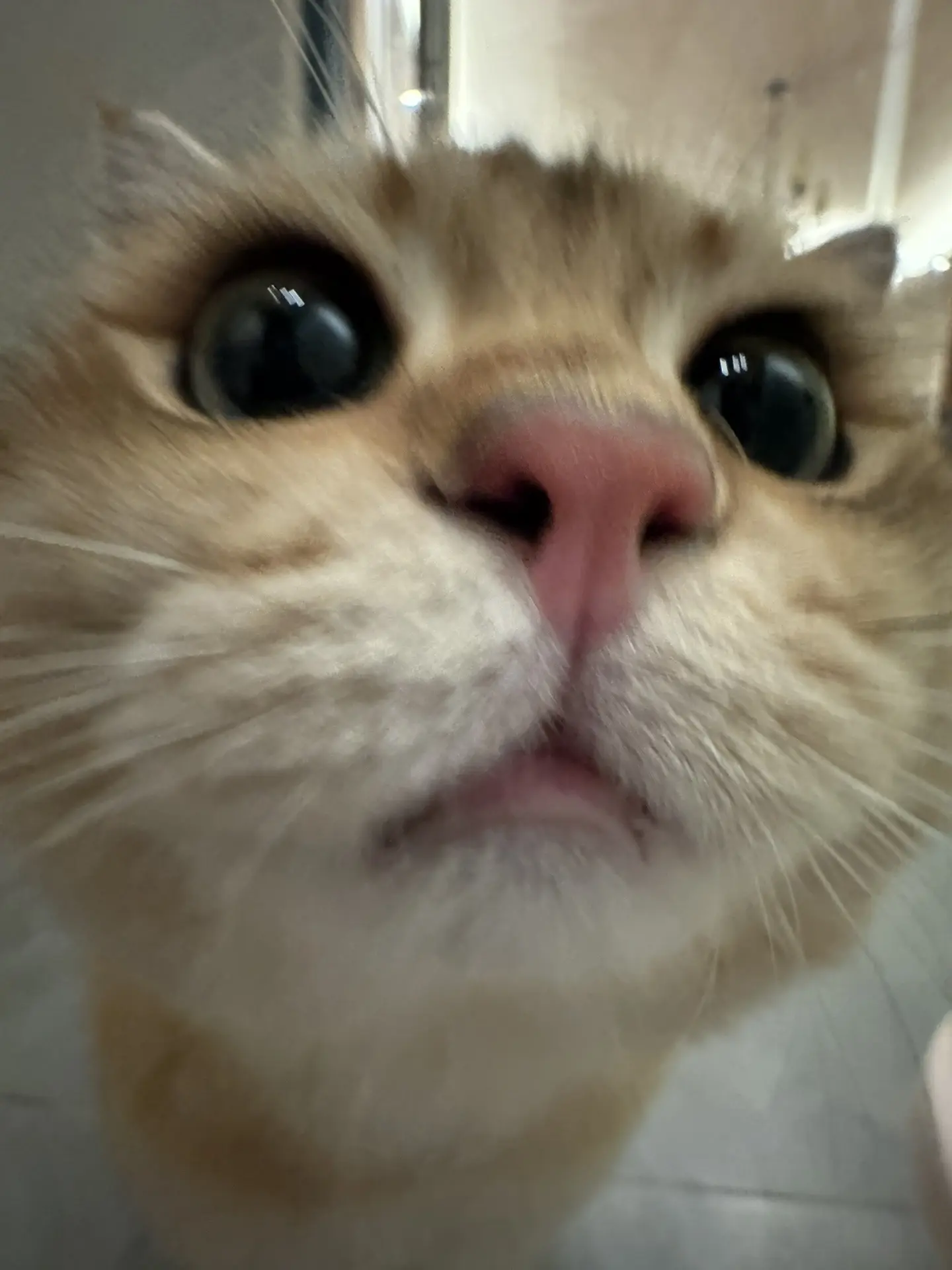 泥嚎，我系念念～