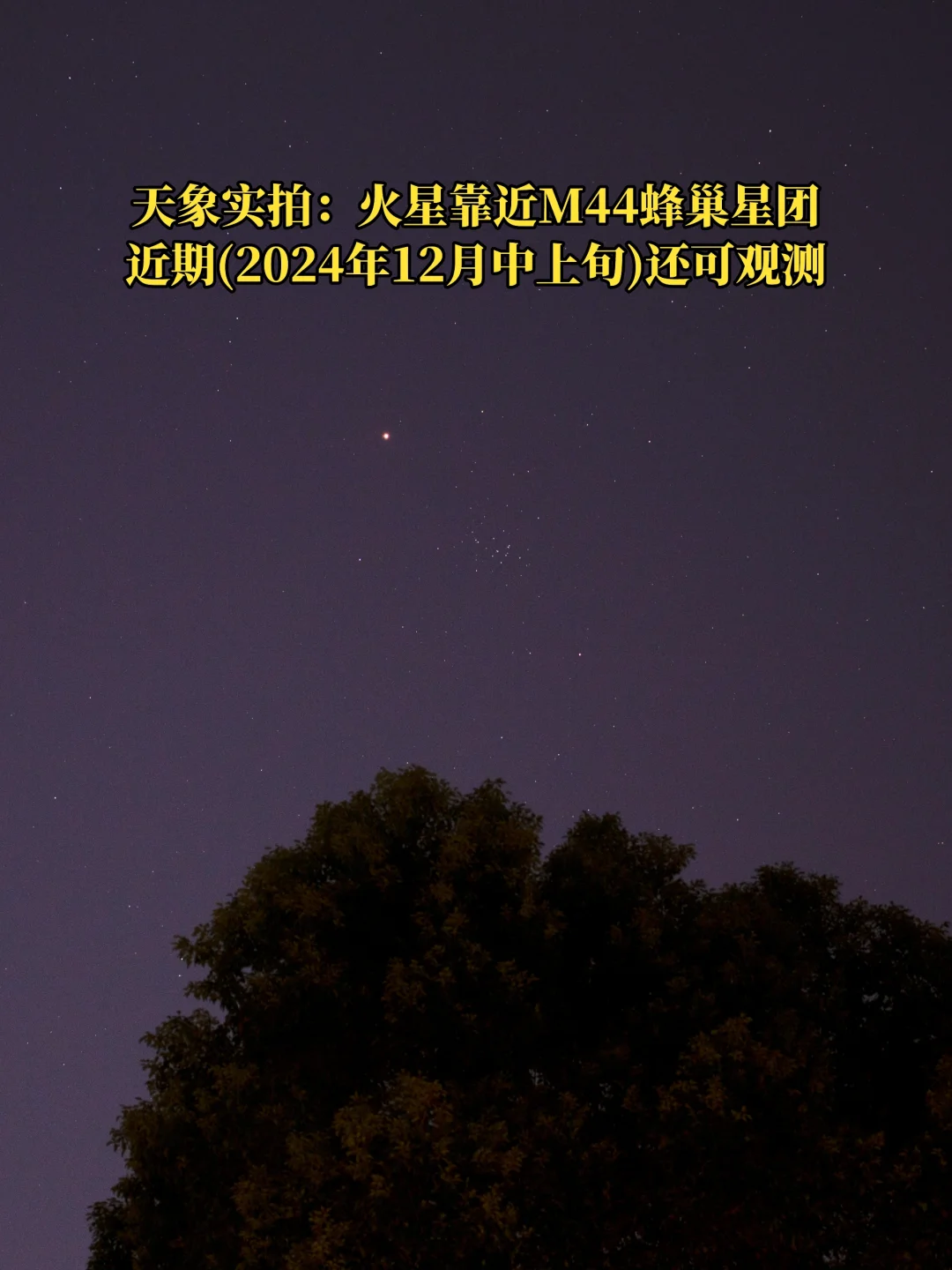 天象实拍：火星靠近M44蜂巢星团（2024.12）