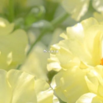 每日一善 每日一善 阳光信用 偶尔一些很努力也不被重视，很辛苦却得不到回答的时刻