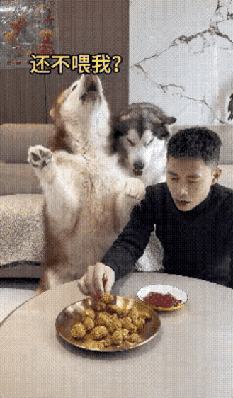 细腻小口尝一个，豪爽痛快吃整盘，换作你会怎么选？