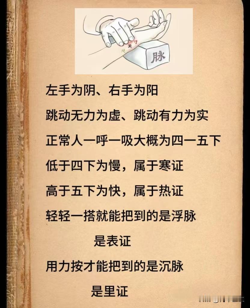 1分钟教会您把脉 健康自测小技能 学会了在家就能测