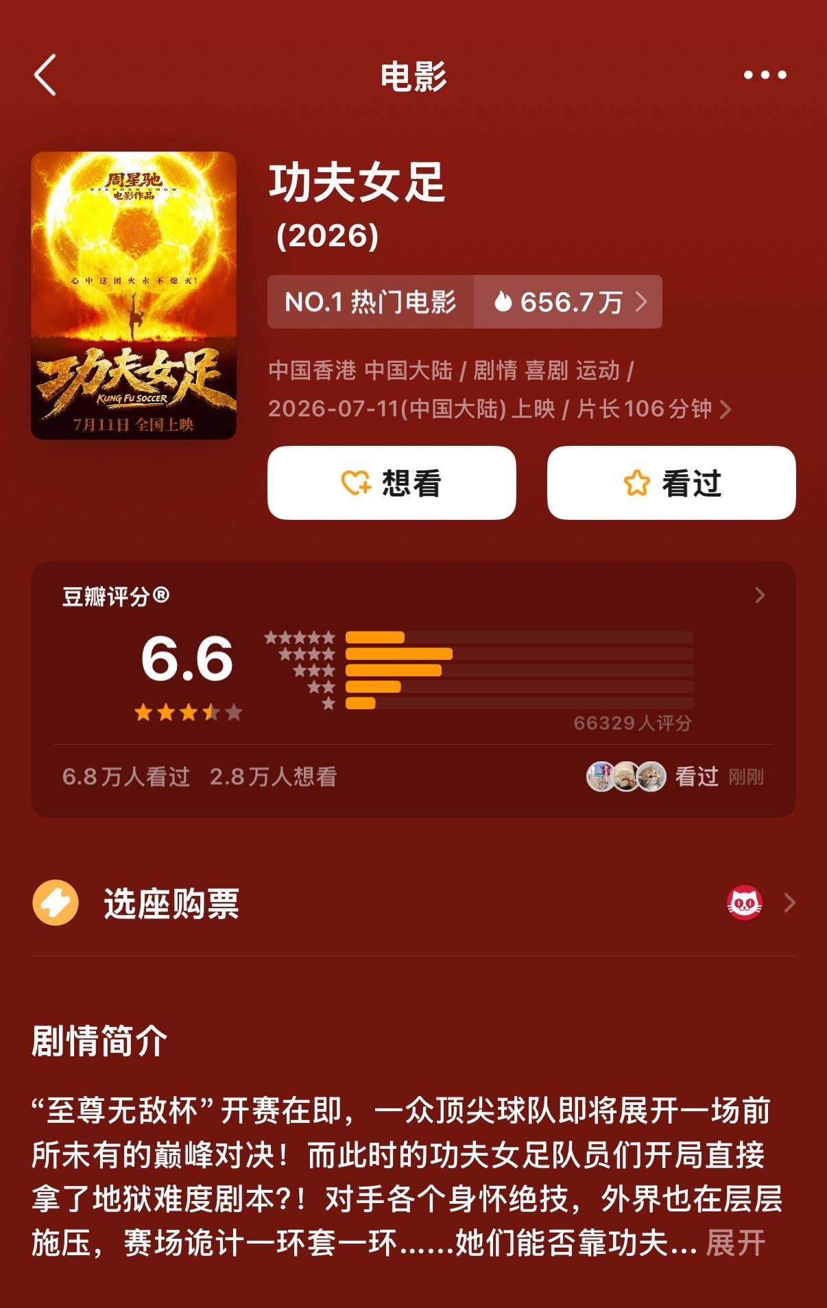功夫女足豆瓣开分6.6功夫女足评分6.6功夫女足开分