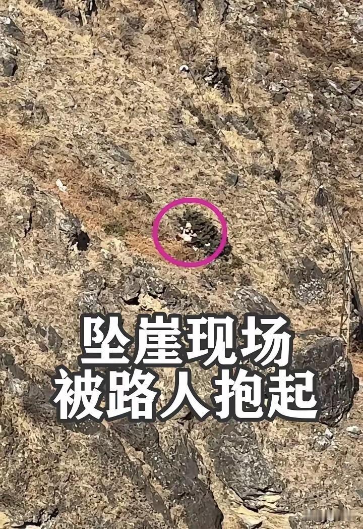 痛心疾首！大年初五，云南虎跳峡，一位父亲眼睁睁看着8岁的儿子坠下深渊，那一刻的绝