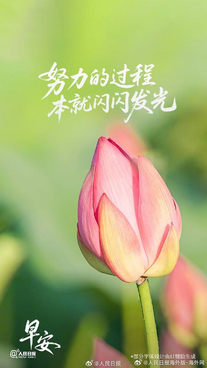 #向海外朋友问好# 【努力的过程本就闪闪发光】很多时候，付出不会立刻得到回报，却