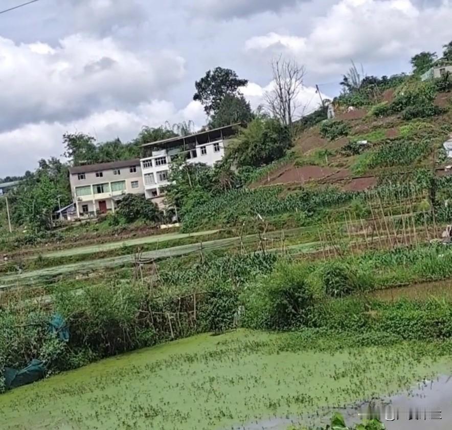 今天才知道原来抖音也可以发文章的，头条我不想写了，写啥都没流量，我的收益几乎都是