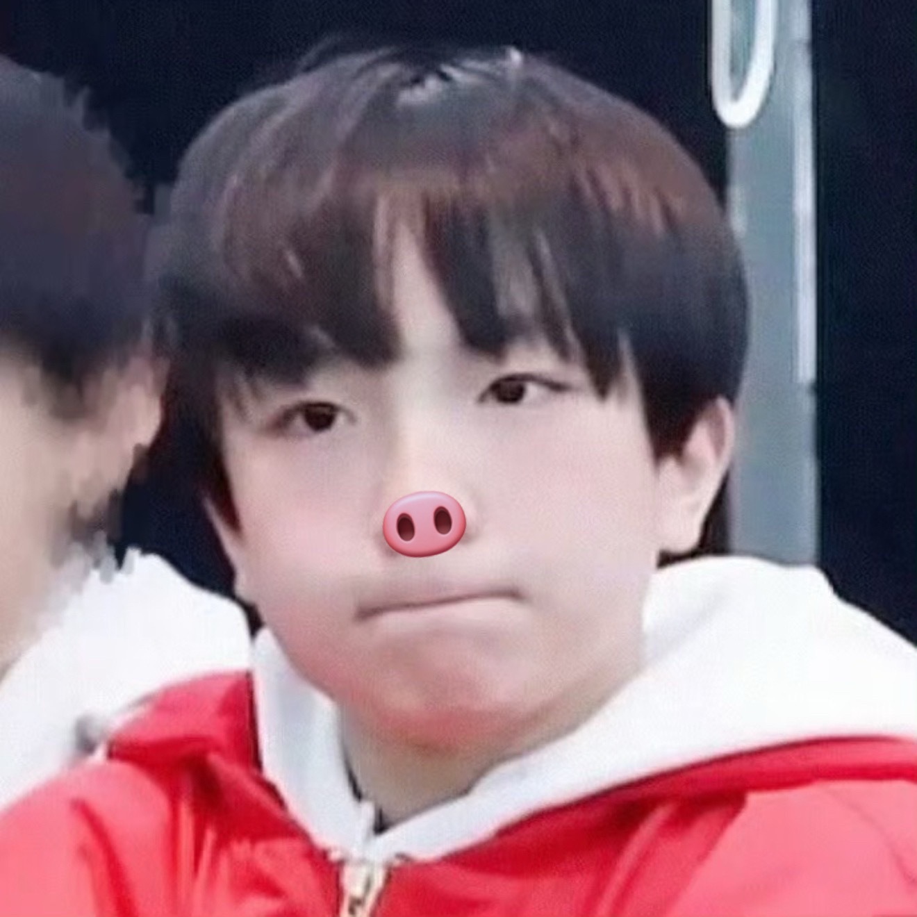 0002是萌猪。cute pig。돼지。豚ちゃん。猪中顶流。完全的优质小猪。猪塑