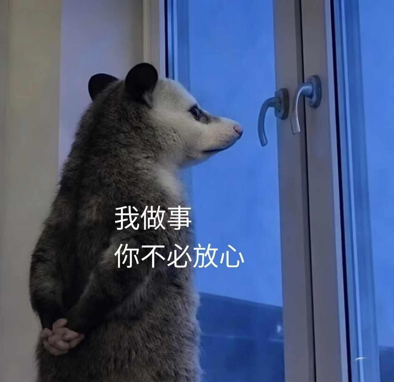 明知山有虎，那我不去明知山不就好了
负鼠表情包 明知山有虎 鼠鼠 搞笑表情包 鼠