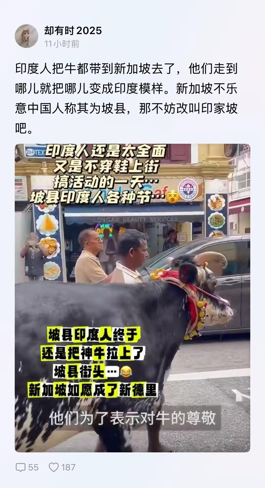 印加坡急了，果然名不虚传厉害厉害[赞][赞][赞]