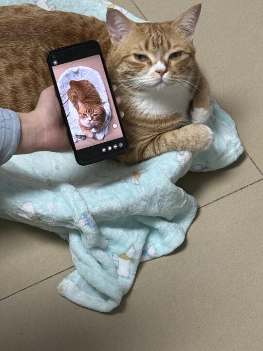 这照片是你吗？