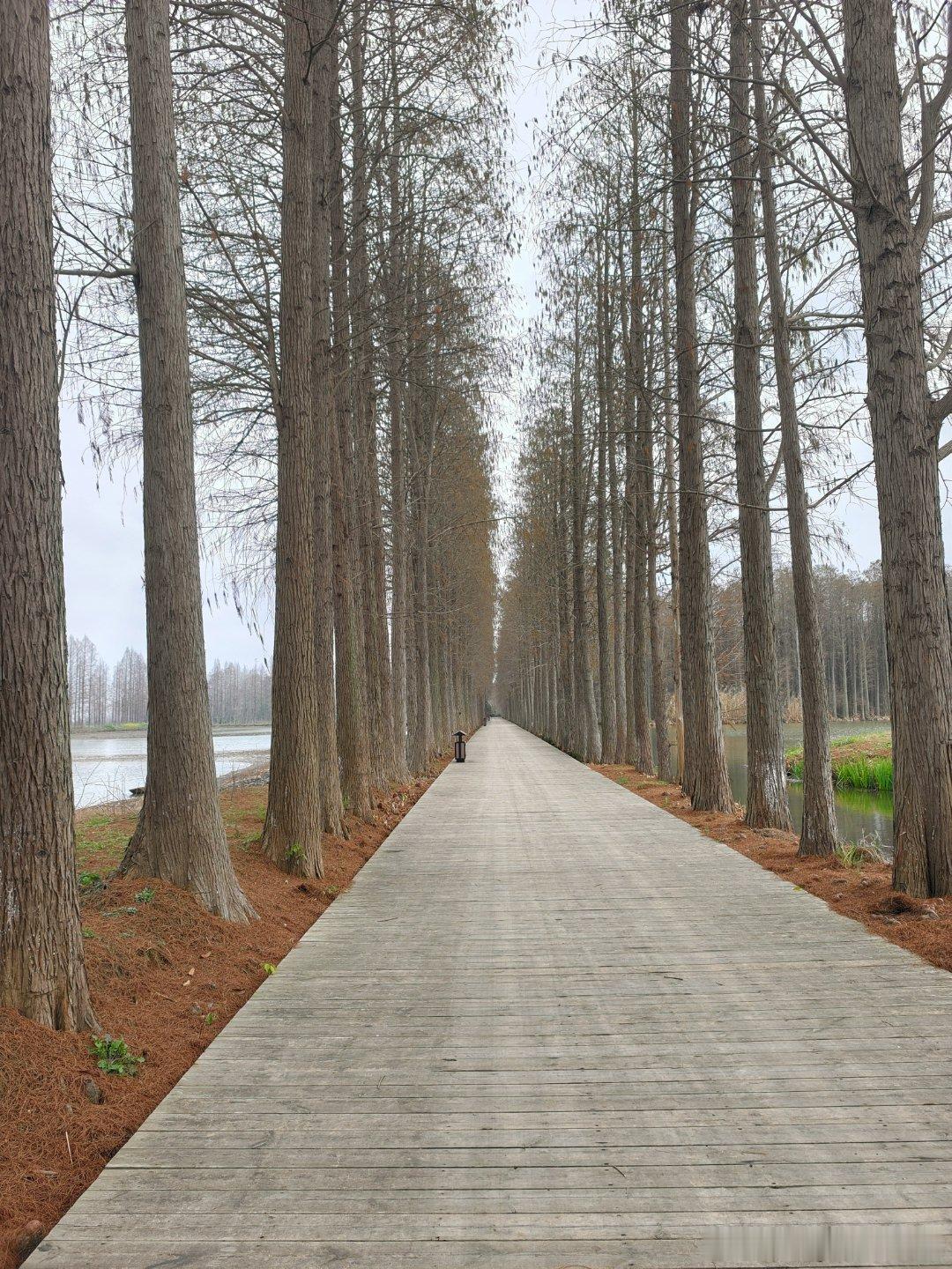 中秋请3天假堪比春节中秋吗？那时候是超级升浪夏日深渊后的【饕餮金秋】约500点空