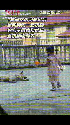 “万万没想到！”江西九江，一岁半女孩回老家，看见院中熟睡的狗子，就跑过去想和狗子