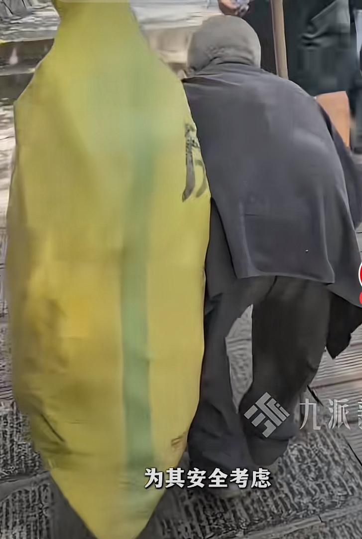 大家真是料事如神！张家界风景区的拾荒老人以后没机会再去那儿了。
前几日，一群来张
