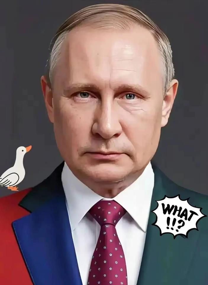 快讯，快讯！
美媒披露普京停火条件！
10月19日，据俄罗斯连塔网10月18日报