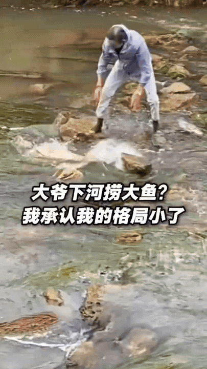 云南昆明，两条大鱼在河中被石头卡住，岸边一位大爷看到后，竟直接翻越围栏跳下水去，