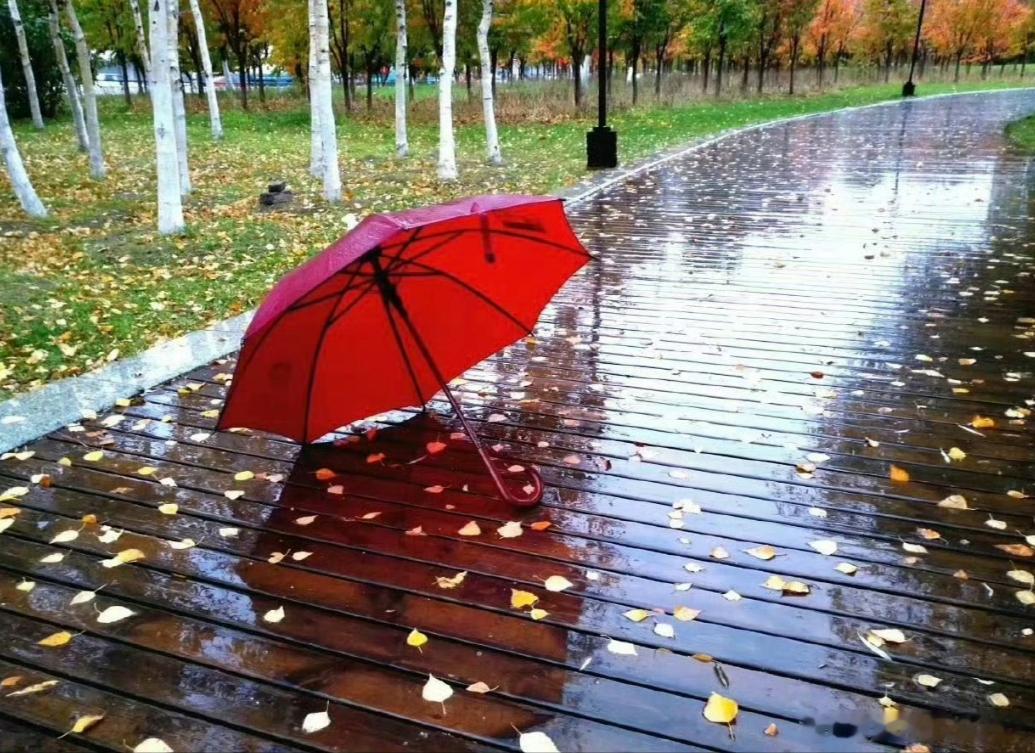 洋洋高锐”青春的记忆◎站在雨中悄悄……环顾四周心里不是滋味◎一柄小小雨伞犹如……