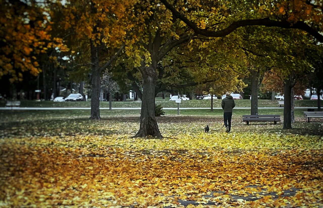 中国商人涉新加坡洗钱案　英国没收恐龙化石豪宅艺品
     英国警方今天说，英国