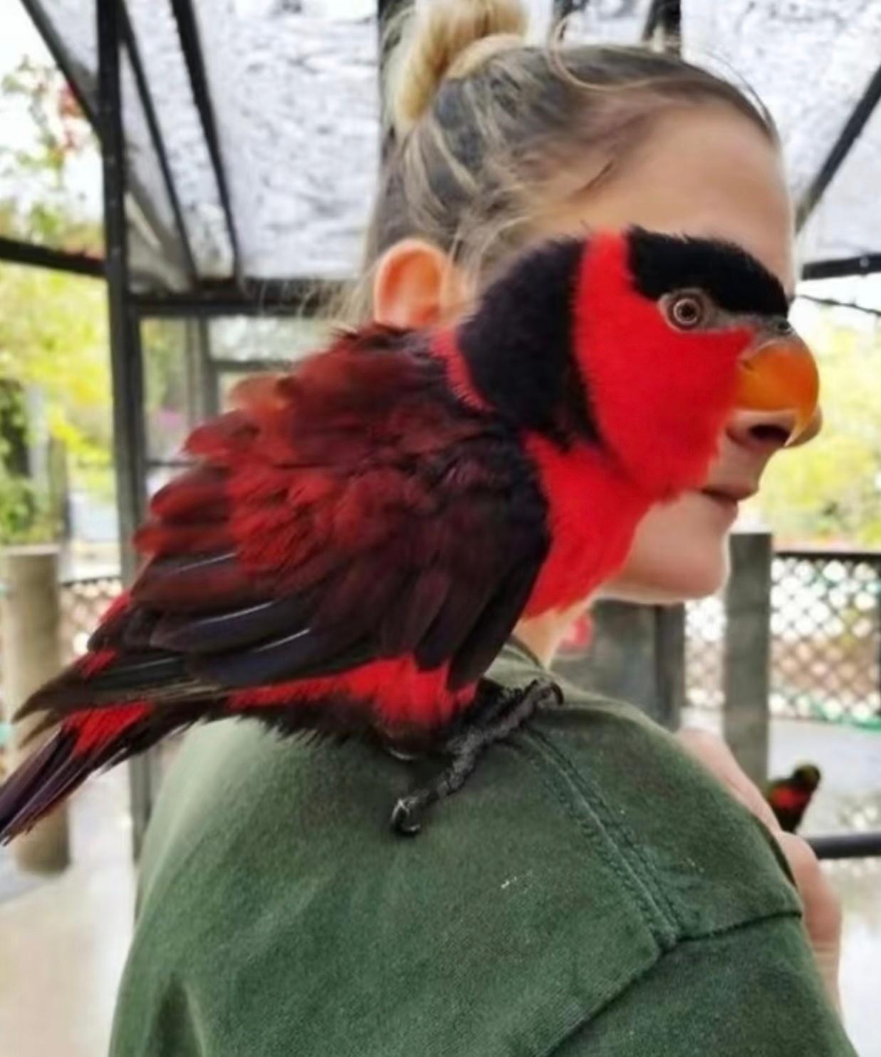 这些错位图你看出来了吗？ 