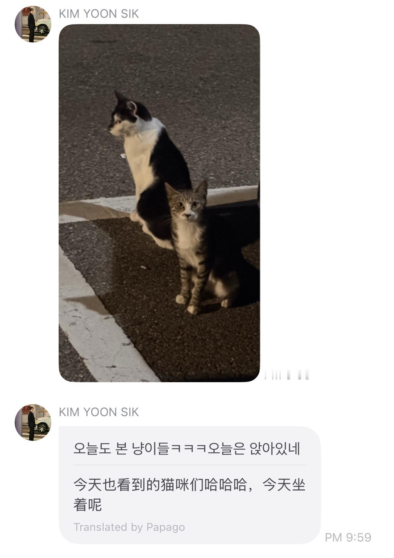 允植来信 和哥哥一起看的首尔月亮🌙首尔小猫咪
