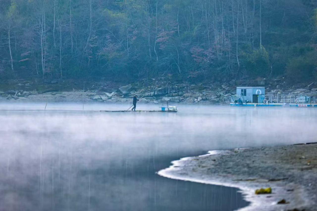 春潮

春潮涌动
晚风来急
淅沥
只因不负花期
氤氲
不只是那一片
绿意
还有