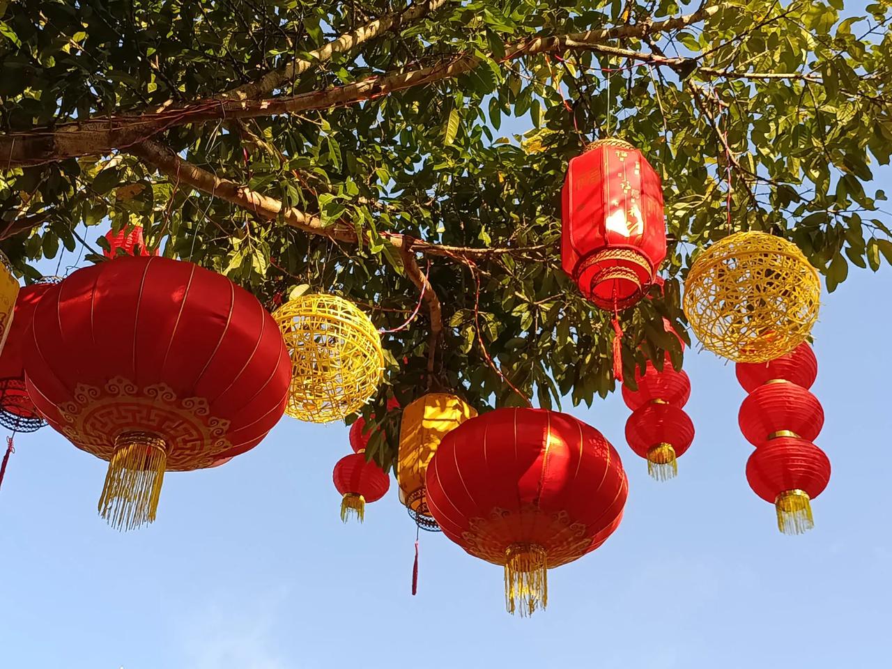 大红灯笼高高挂，
年味越来越浓了！