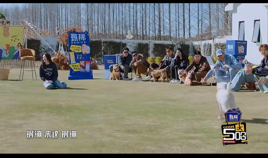 邓超带狗去五哈搂席五哈欢乐名场面再添一员！邓超直接带狗来节目搂席干饭，小家伙气场