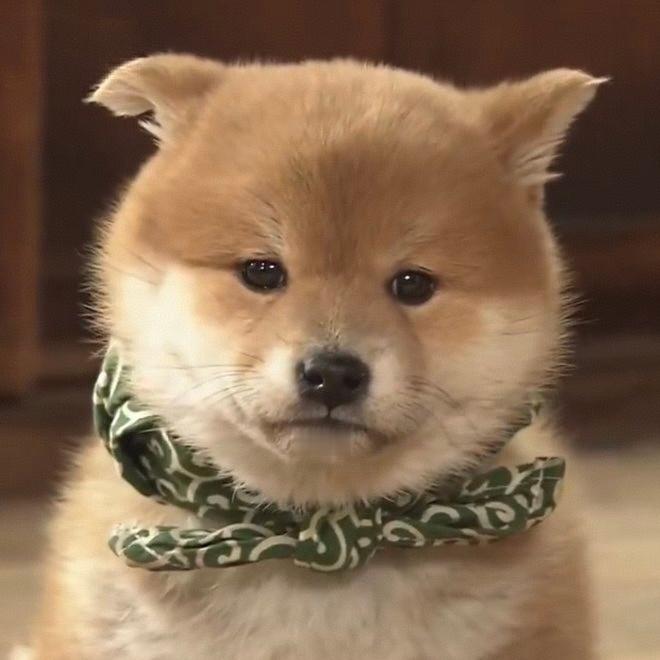 小宝宝🥹 