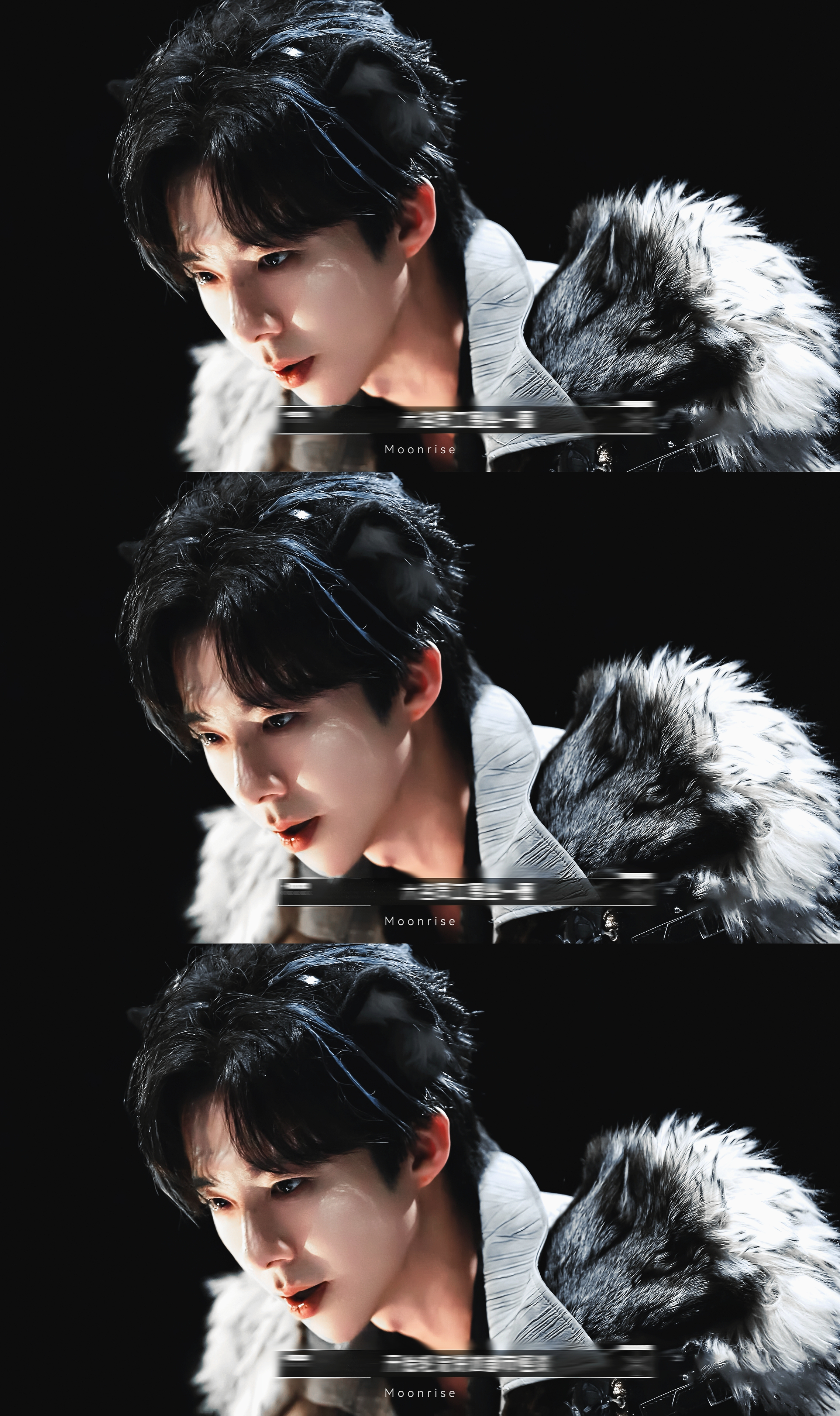 🐺 