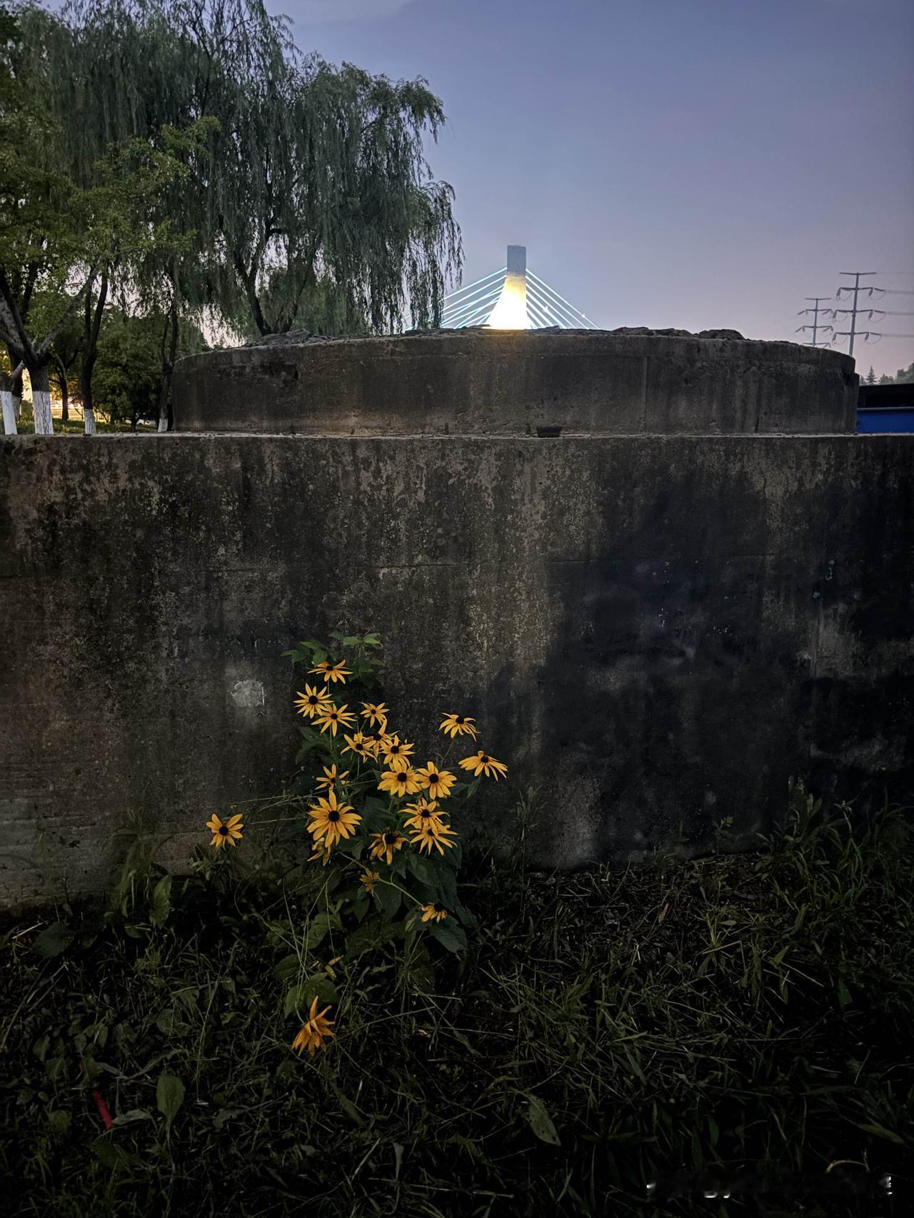 当地时间周六下午，美国爱达荷州特温福尔斯市发生枪击事件，造成3人遇难、2人受伤，
