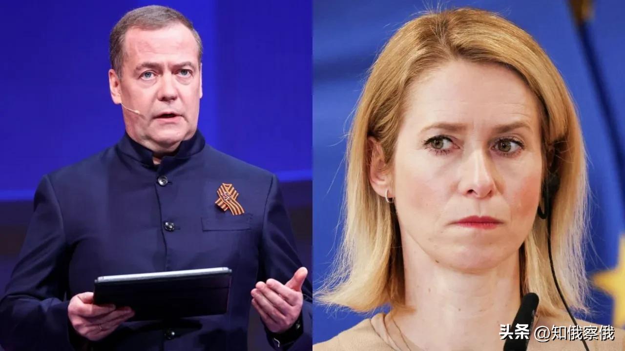 梅德韦杰夫将欧盟外长卡拉斯称之为“金毛鼠”

俄联邦安全委员会副主席德米特里·梅