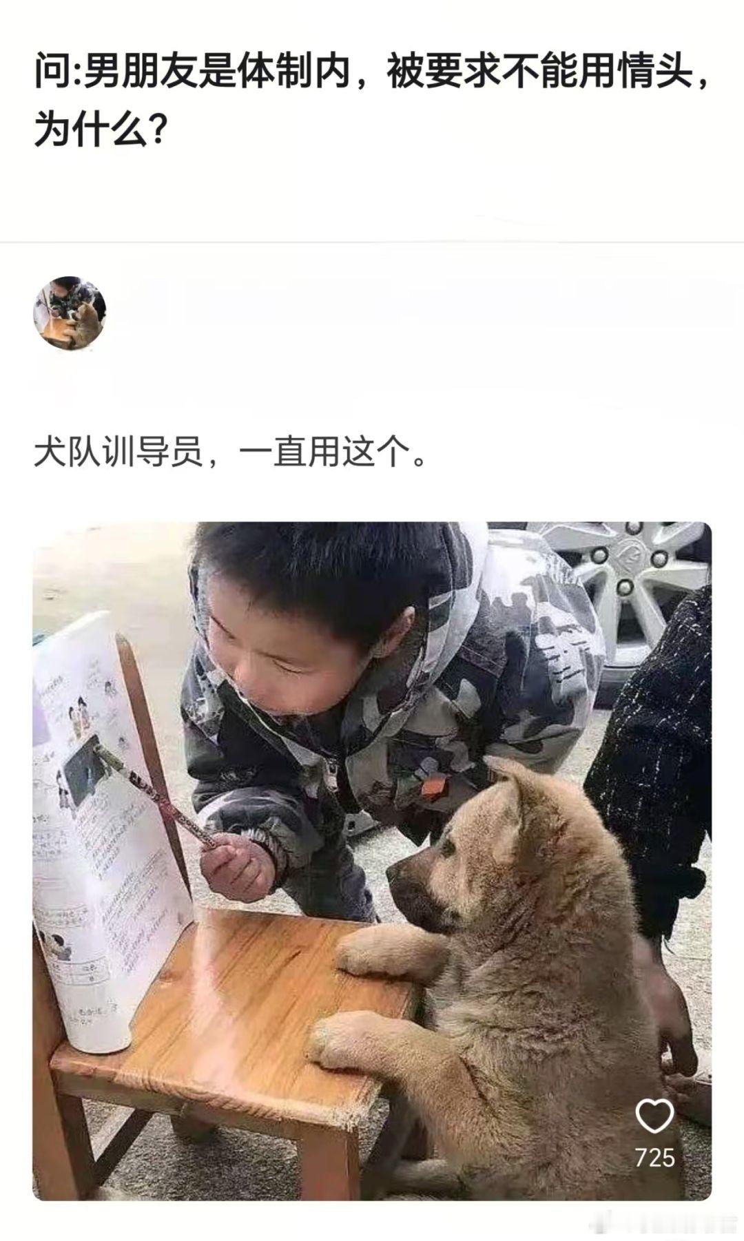 体制内不能用情侣头像吗？ ​​​