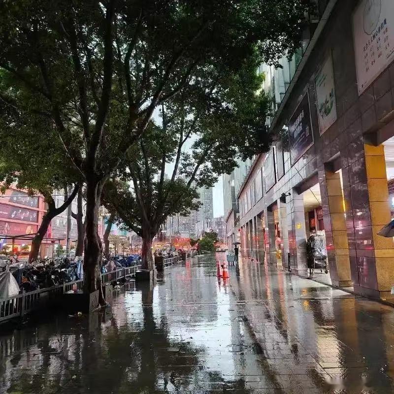 广东人被雷雨暴击了广东的雷雨声势浩大，电闪雷鸣场面十足，可雨水过后并没有清凉，广