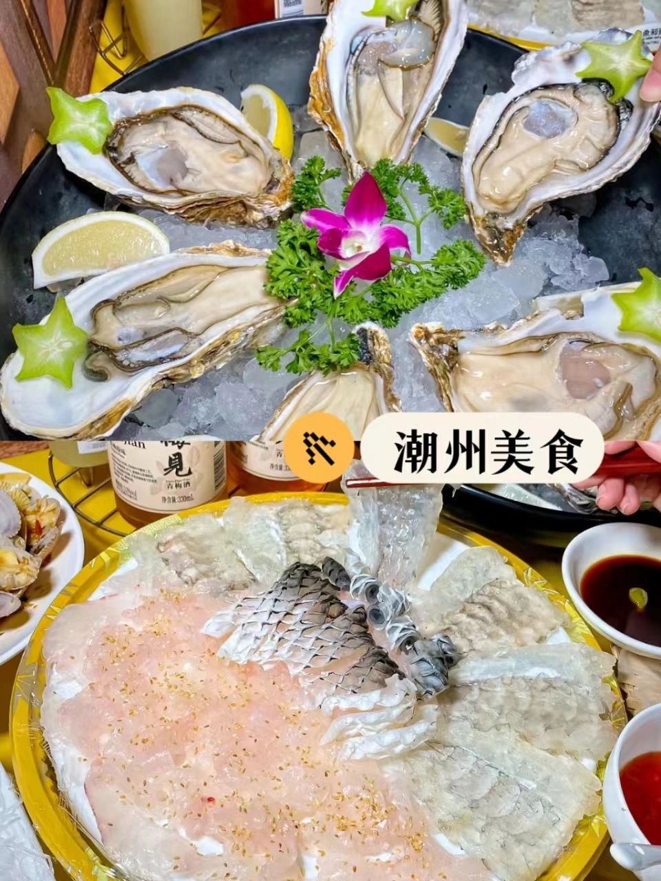 一票就出发🚗，潮州zi由行我们来啦✨