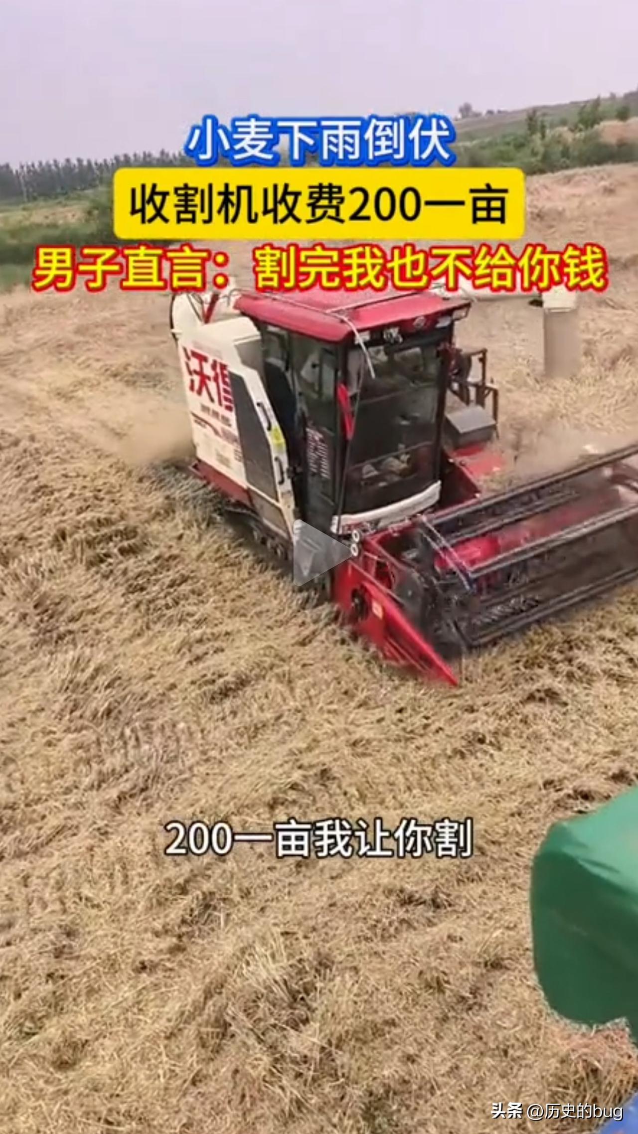 一位开收割机到处割麦的朋友告诉我：说实话，倒伏的小麦，一亩地两百块钱他都不愿意去