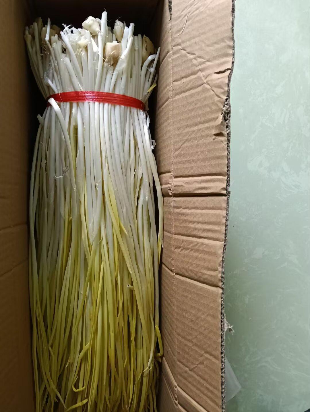 江南一位网友晒出了自己网购的一箱蒜黄，说和鸡蛋炒着吃，味道不要太赞噢 ……  