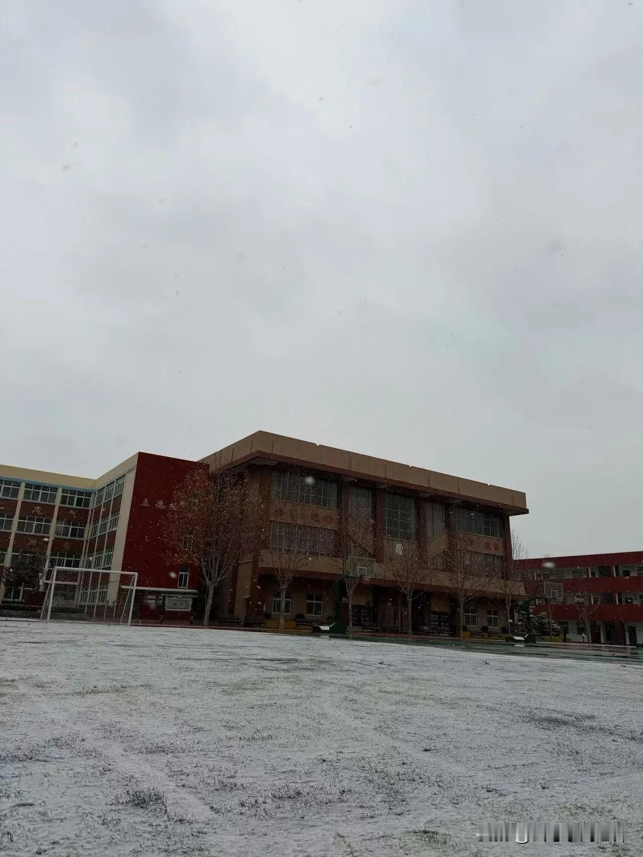 下雪啦！河南的第一场雪！你们那里下雪了吗？