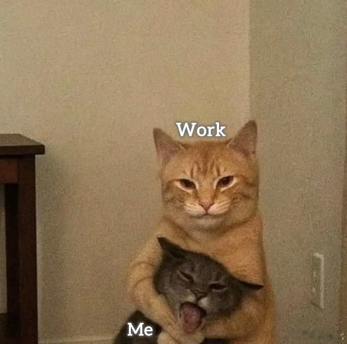 玩加早安 不想上班的人请扣12026lpl2026lck