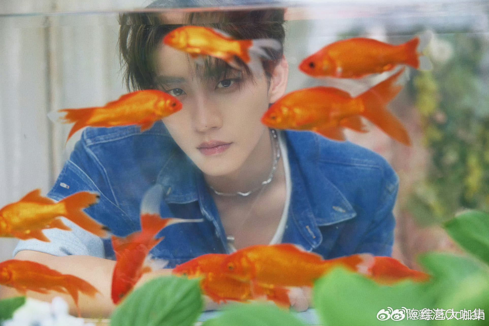 陈鑫海ALLIN时刻 解锁双重身份！既是镜头前塑造景琛、陈家俊的细腻演员，也是现
