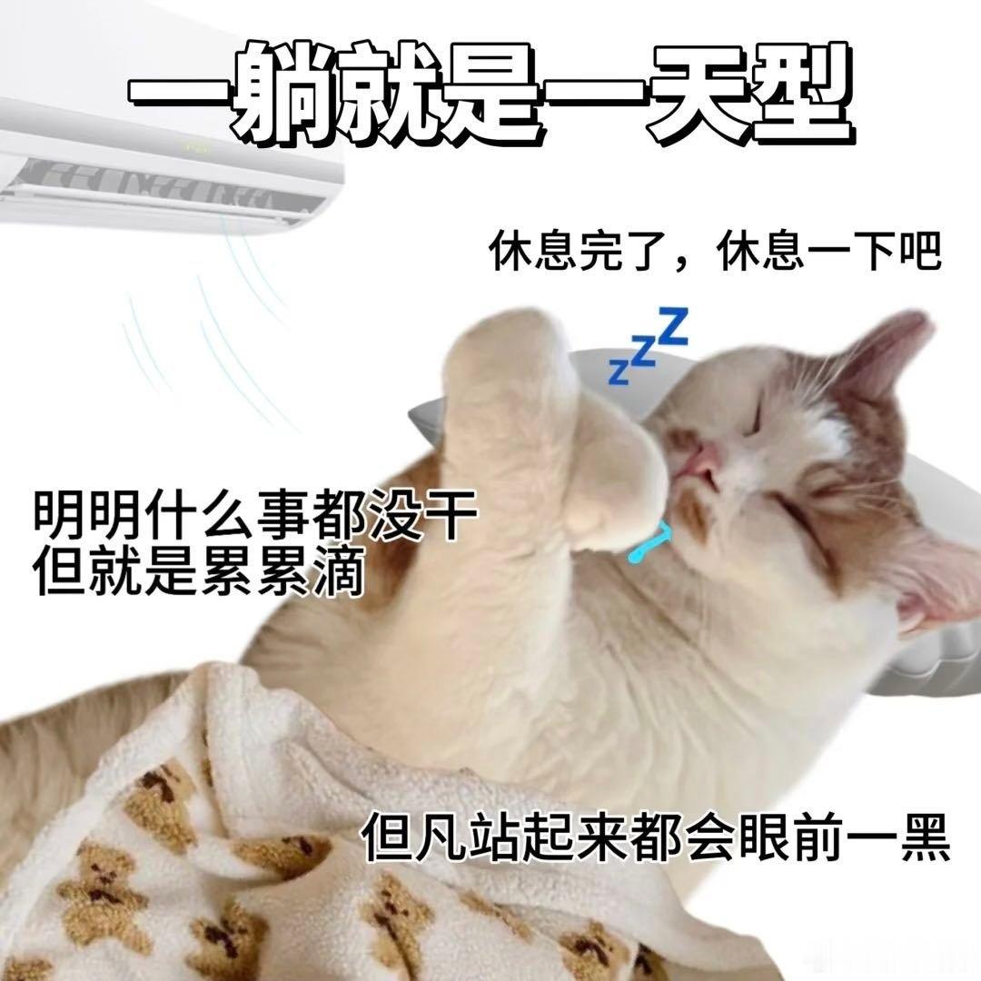 周末计划vs实际周末原本打算短途徒步亲近自然，最后大门不出，外卖填满整个周末时光