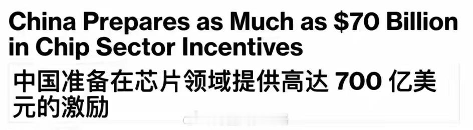 彭博社最新消息，据知情人士透露，相关部门正在讨论，在国产芯片领域提供高达700亿