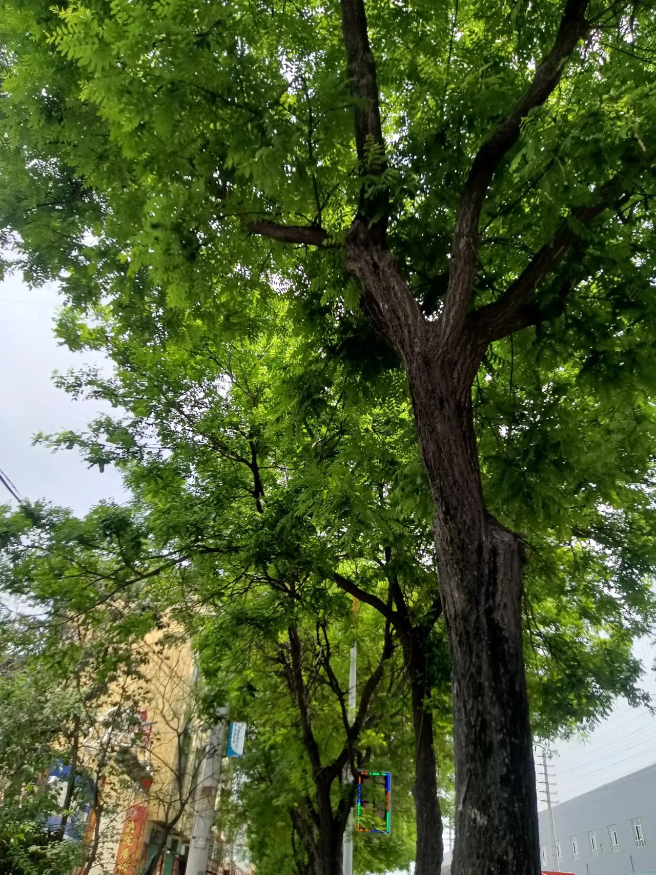 上联：看世界繁华，求下联知世事无常