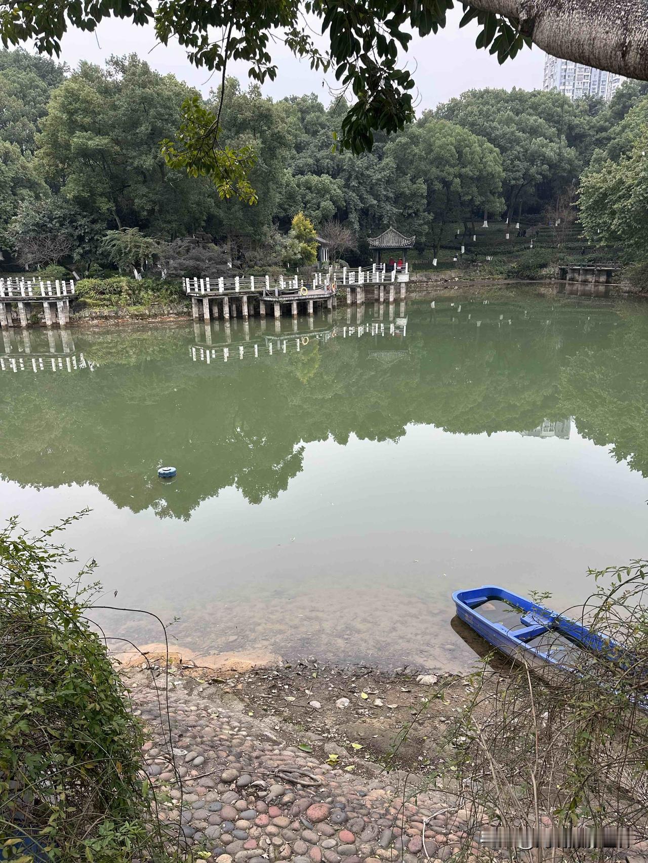 万万没想到，水质清澈足以媲美杭州西湖的重庆沙坪公园，在2026年2月1日的水质，