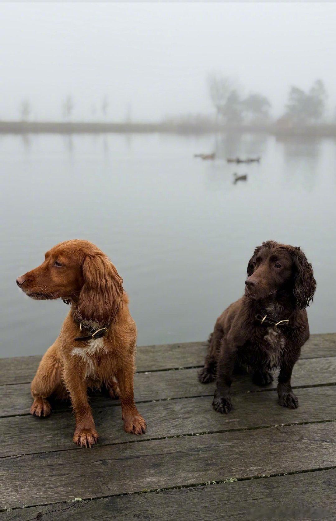 Start of Spring is arriving... Spend som