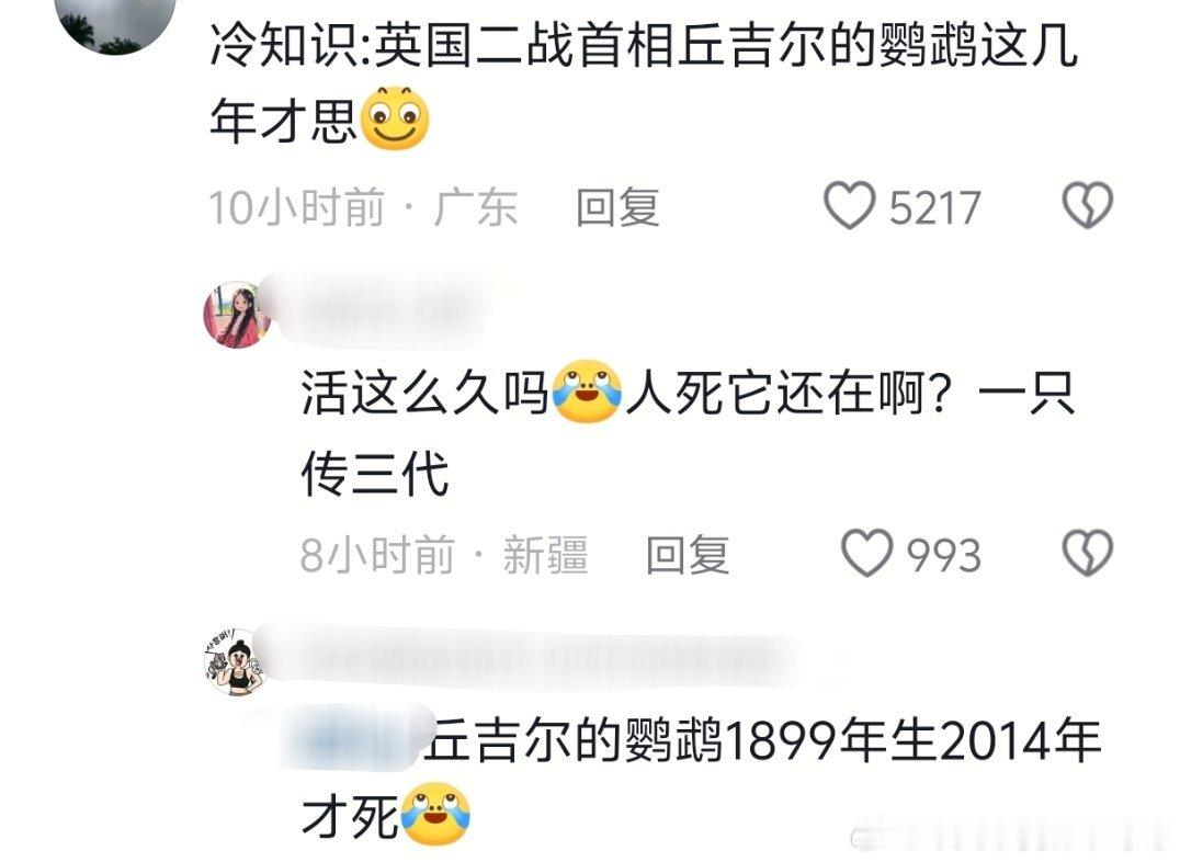 鹦鹉居然能活一百多岁