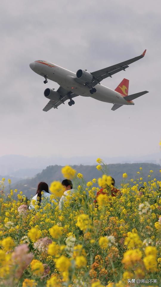 油菜花仙境贵阳南明区下坝村五彩油菜花田盛开，时不时有龙洞堡的飞机飞越天空，打卡拍