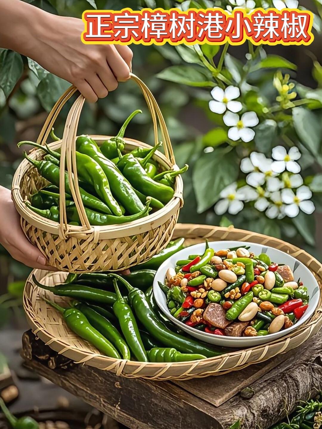 家人们！挖到宝了！🔥这款让无数吃货封神的【樟树小辣椒】，煎炒炖煮样样...