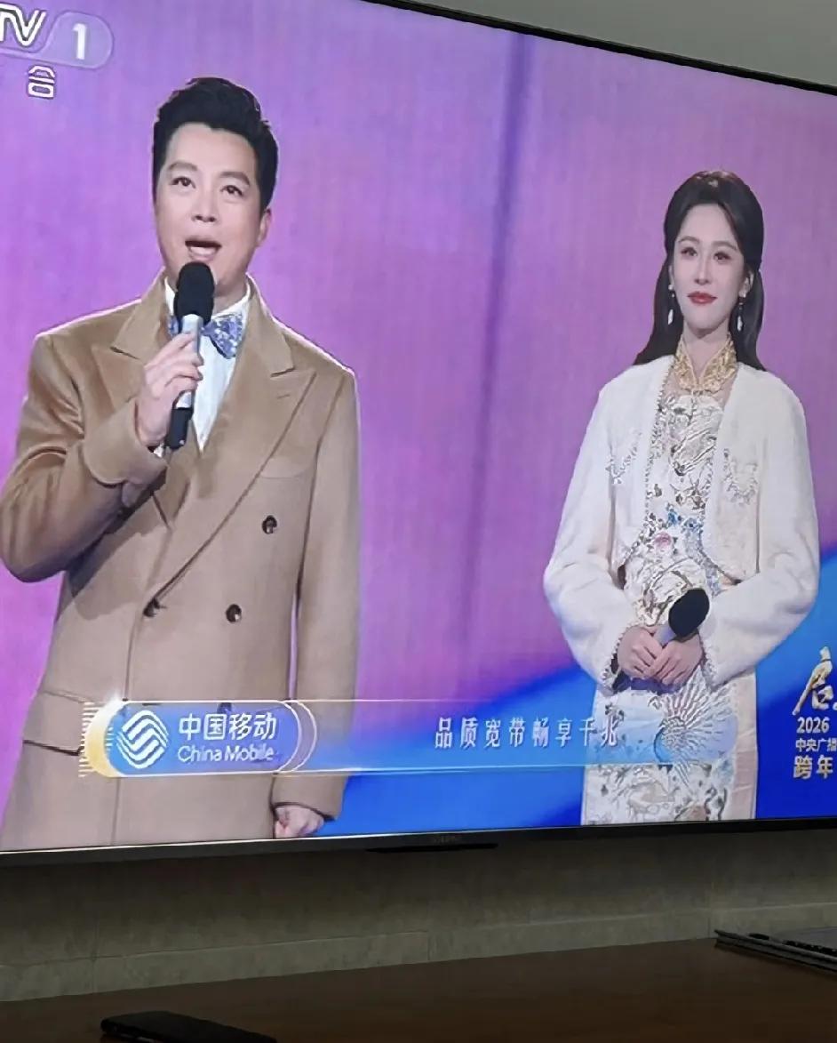 补看央视跨年晚会，主持人出来，我妈妈说，这小姑娘很年轻，没有董卿的台风，台风不够