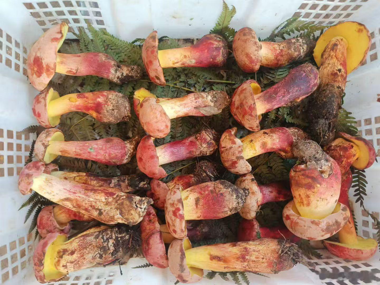 这个有人吃过吗？蓝庭集市准备上架，但是有人提醒我，不要上，风险比较大。 